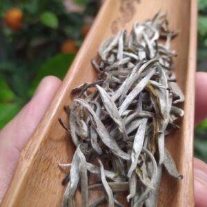BẠCH TRÀ HÀ GIANG – 100g